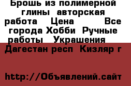 Брошь из полимерной глины, авторская работа. › Цена ­ 900 - Все города Хобби. Ручные работы » Украшения   . Дагестан респ.,Кизляр г.
